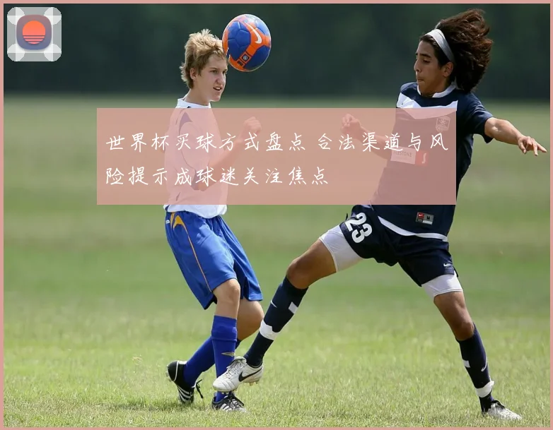 世界杯买球方式盘点 合法渠道与风险提示成球迷关注焦点